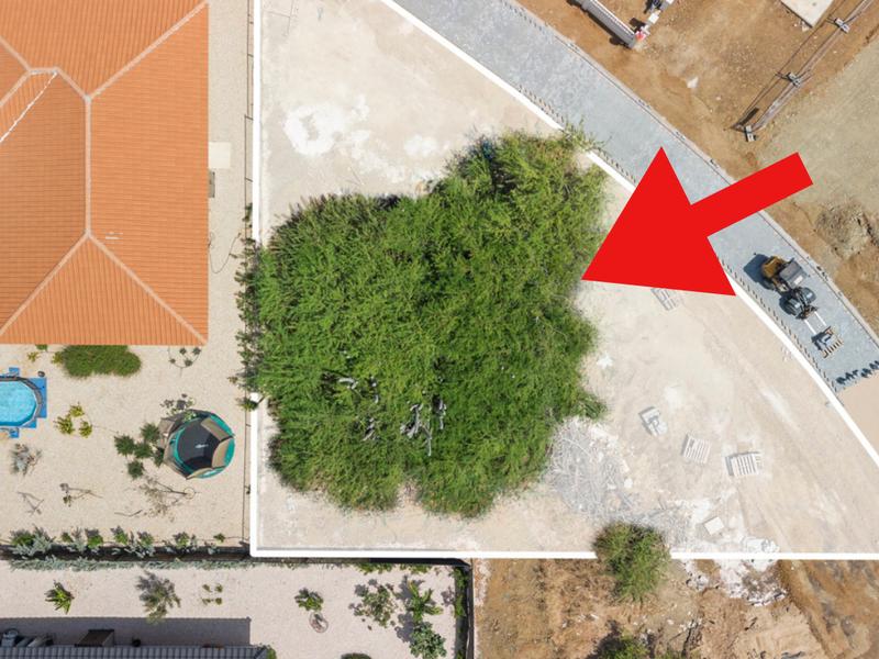 OLD LAGOEN / Spacious Building Lot #20 (Bonaire) – Property in Antriol
