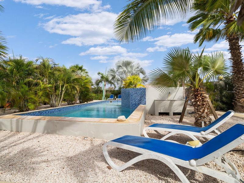 Villa with 3 apartments rental investment private pool & tropical garden – Property in Bonaire