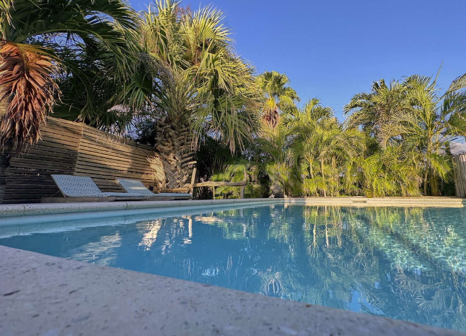 Apartment in Belnem — property image 5