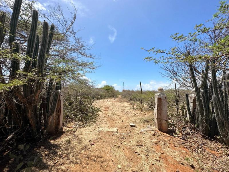 Bara Di Karta – Lot in Bonaire