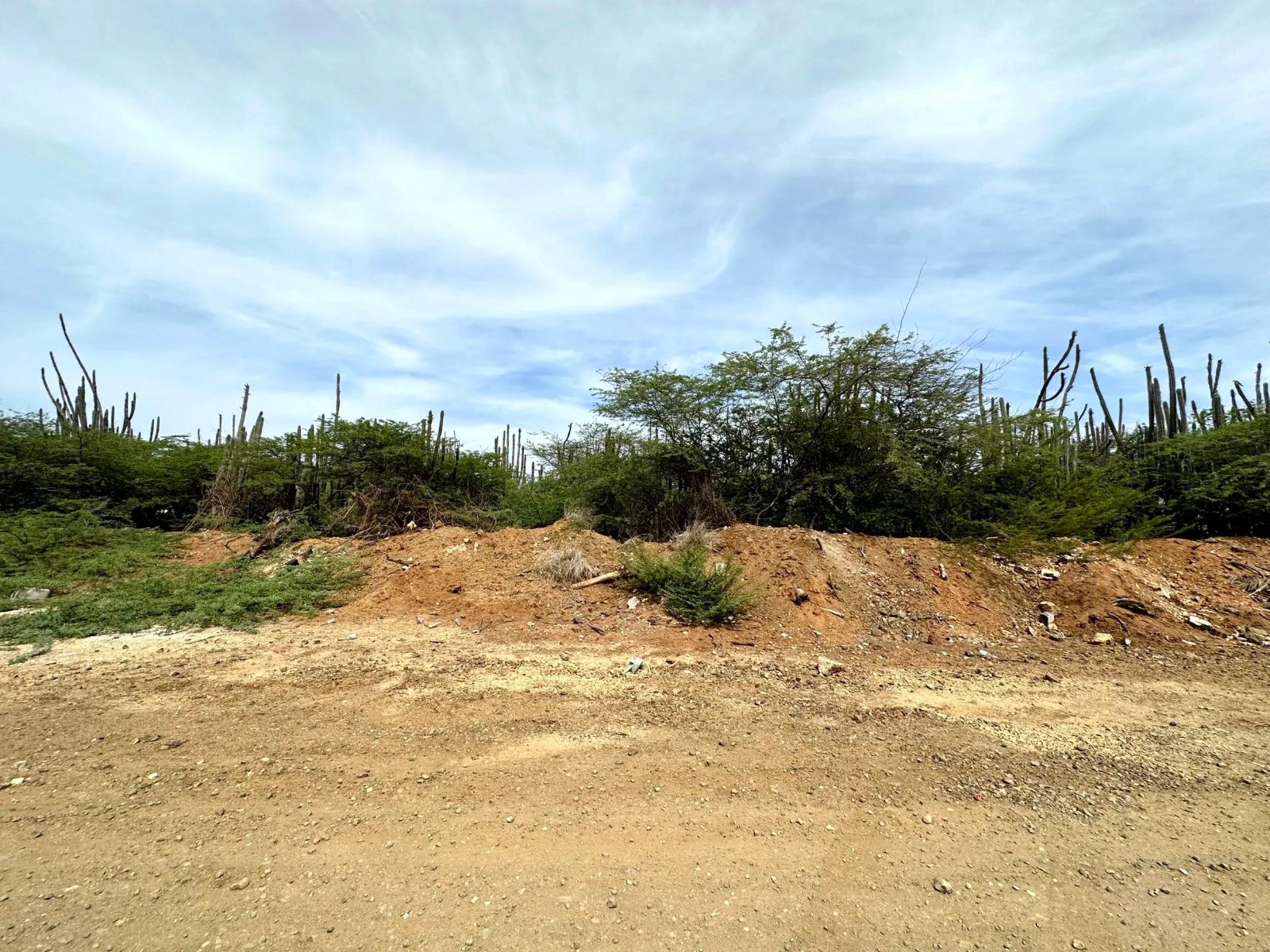 Lot in Bonaire — property image 2