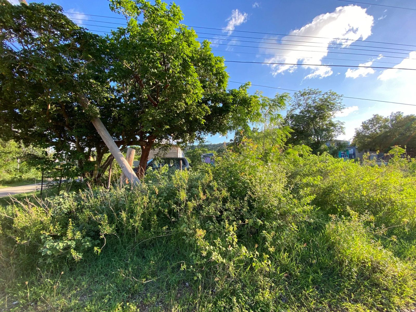 Lot in Bonaire — property image 4