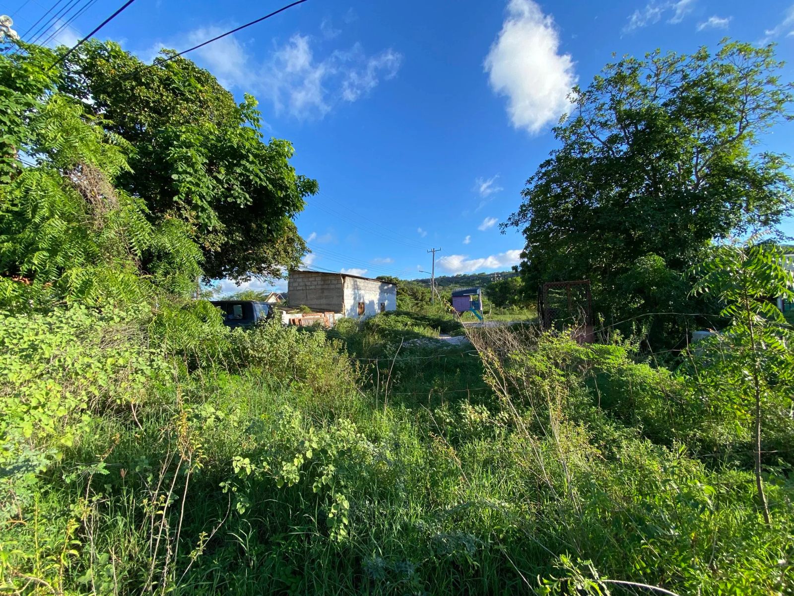 Lot in Bonaire — property image 5