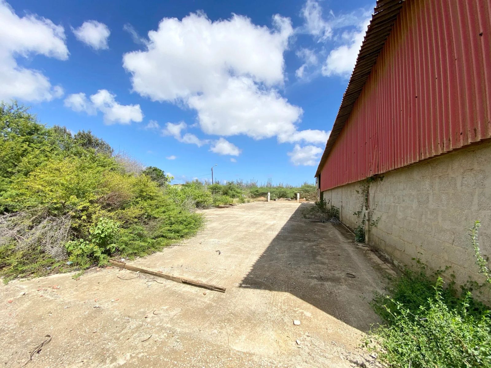 Commercial in Bonaire — property image 4