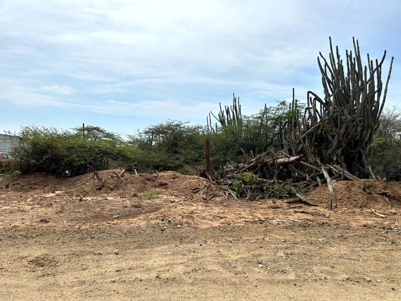Kaya Priscila – Lot in Bonaire