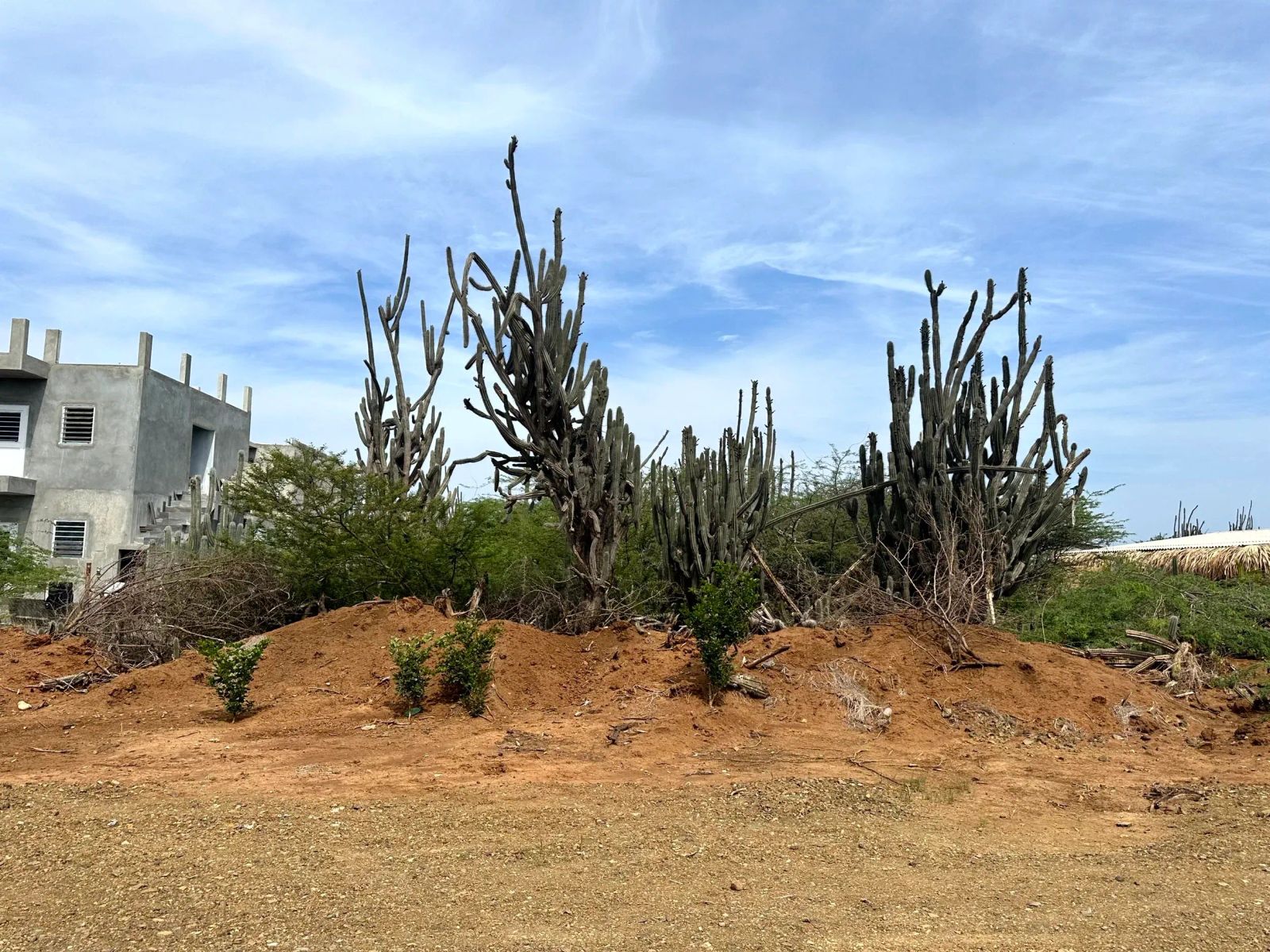 Lot in Bonaire — property image 2