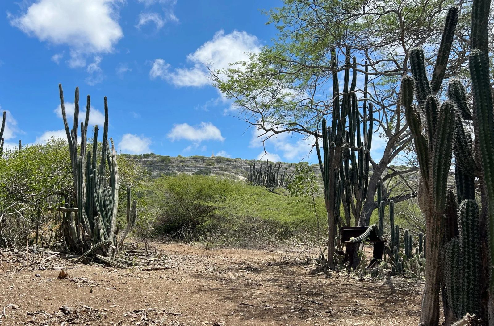 Lot in Bonaire — property image 4