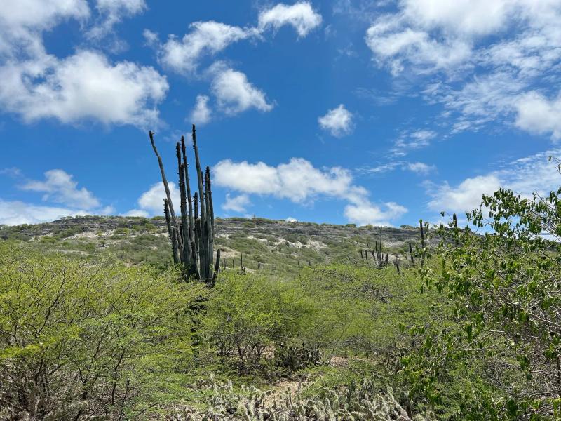 Montagne Ochenta 5 – Lot in Bonaire