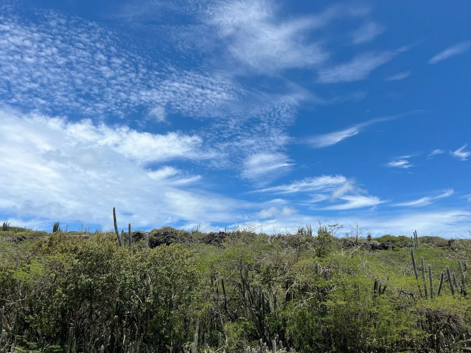 Lot in Bonaire — property image 5