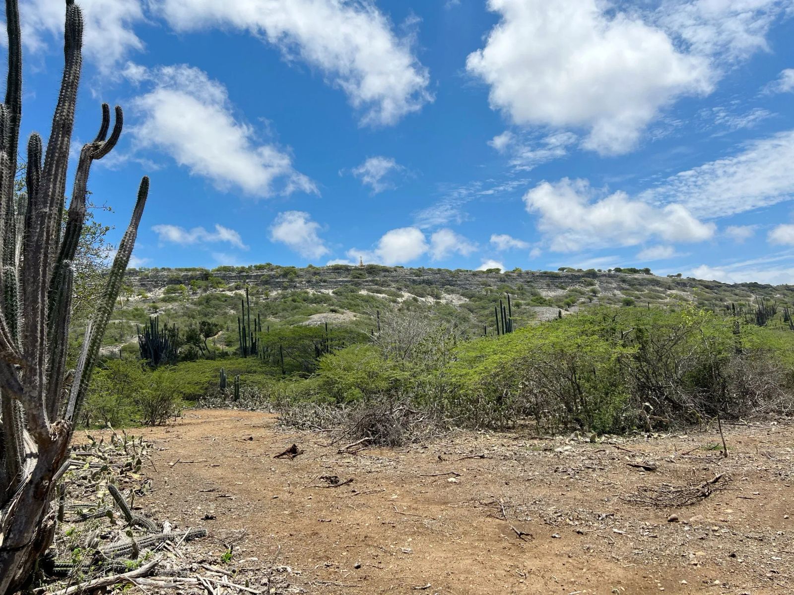 Lot in Bonaire — property image 3
