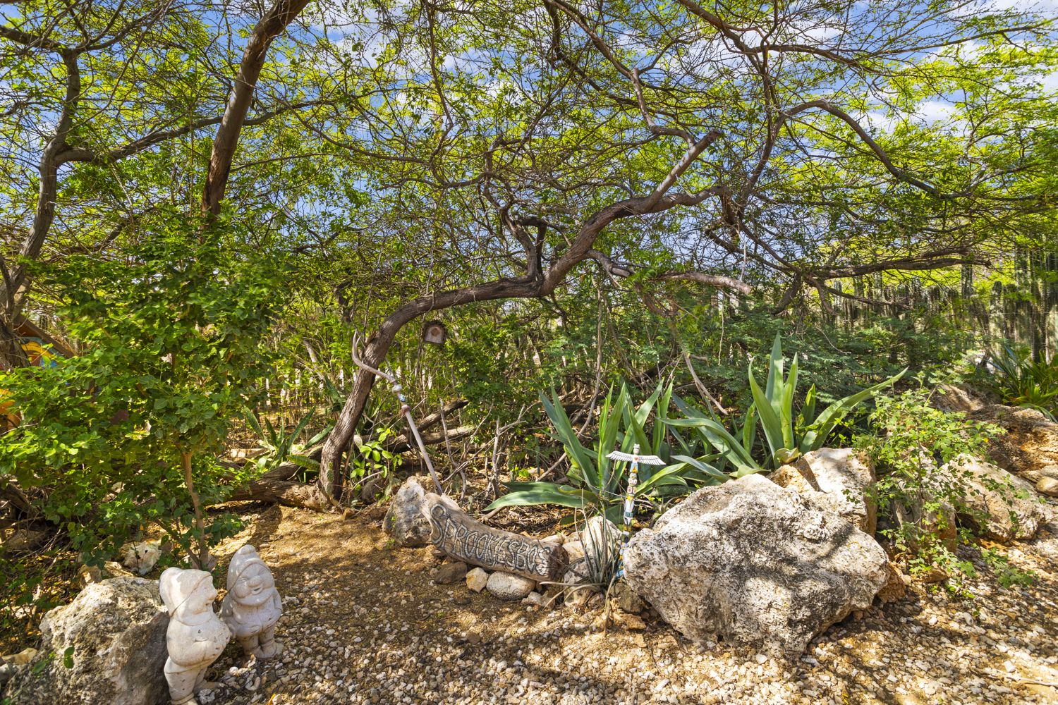 House in Lagoen — property image 4
