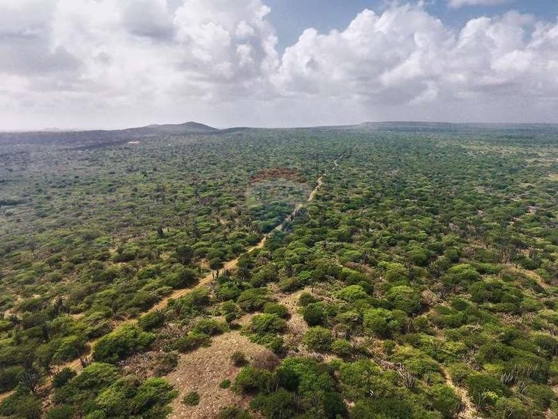 Prime 30-Acre Estate in Gated Community – Lot in Kunuku Area
