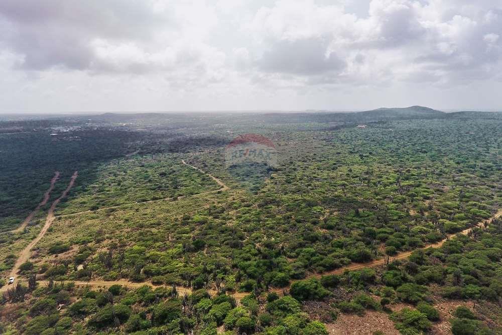 Lot in Kunuku Area — property image 4
