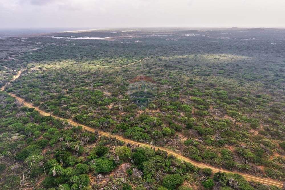 Lot in Kunuku Area — property image 5