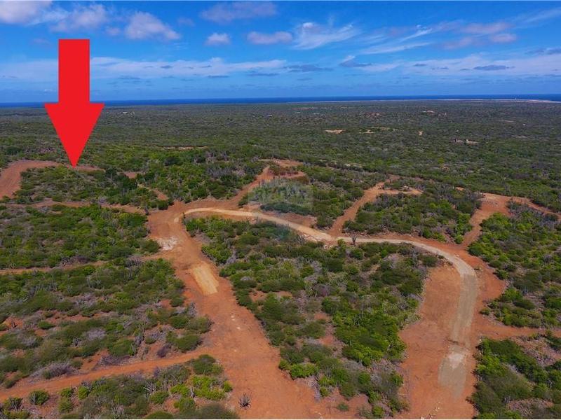 Living off the grid in the middle of nature – Lot in Kunuku Area