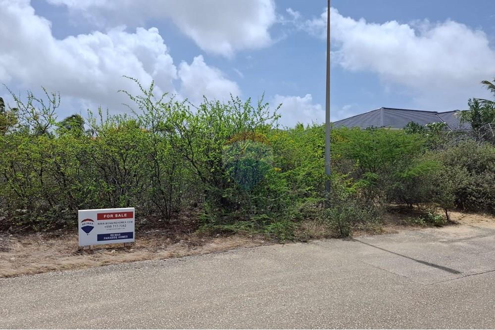 Lot in Sabal Palm — property image 3