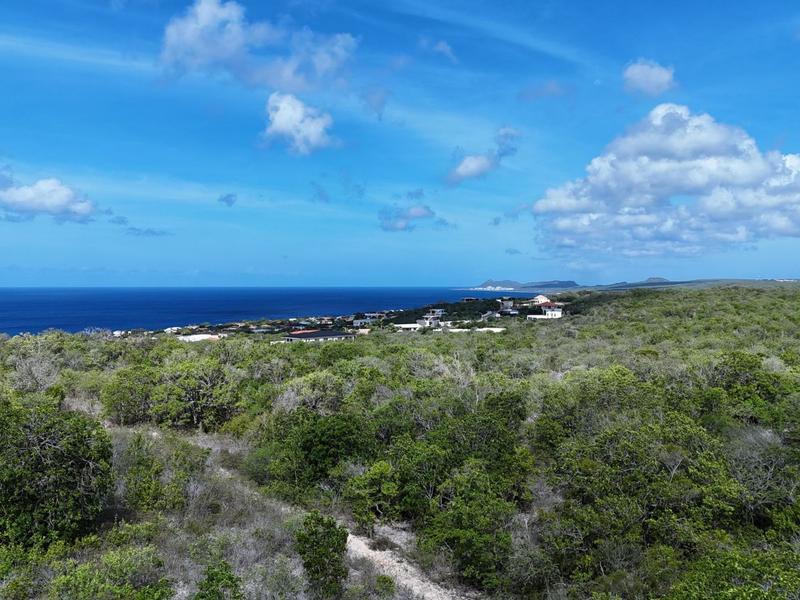 Crown Terrace 60 – Lot in Sabadeco