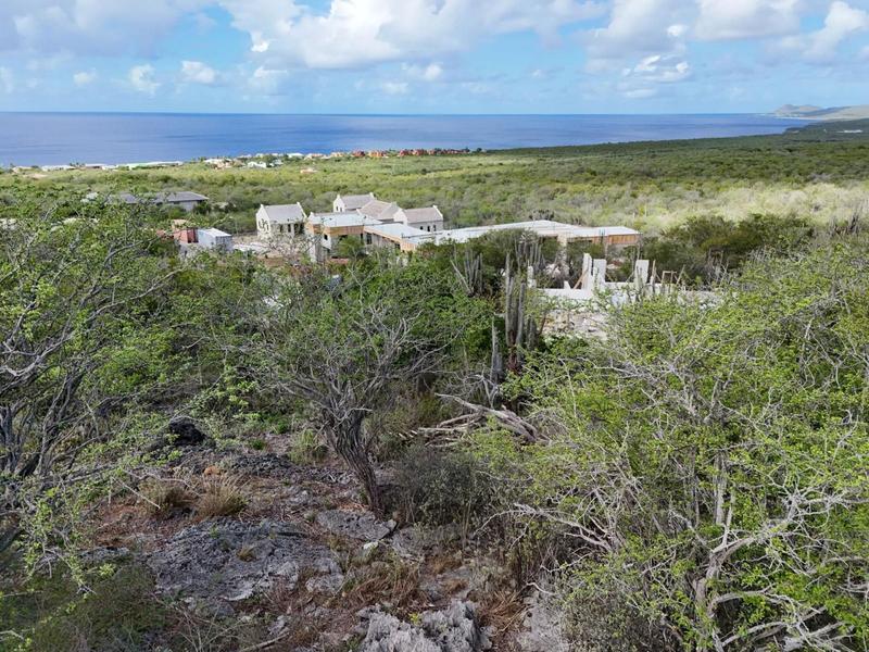 Crown West 245 – Lot in Sabadeco