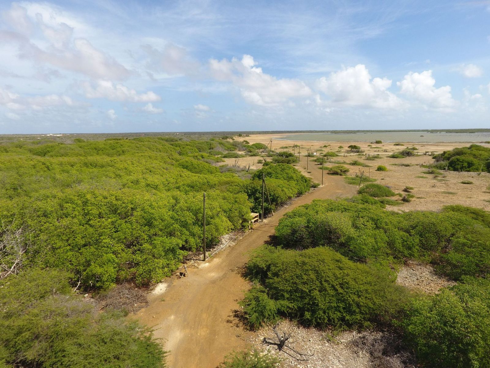 Lot in Troca Suelto — property image 2