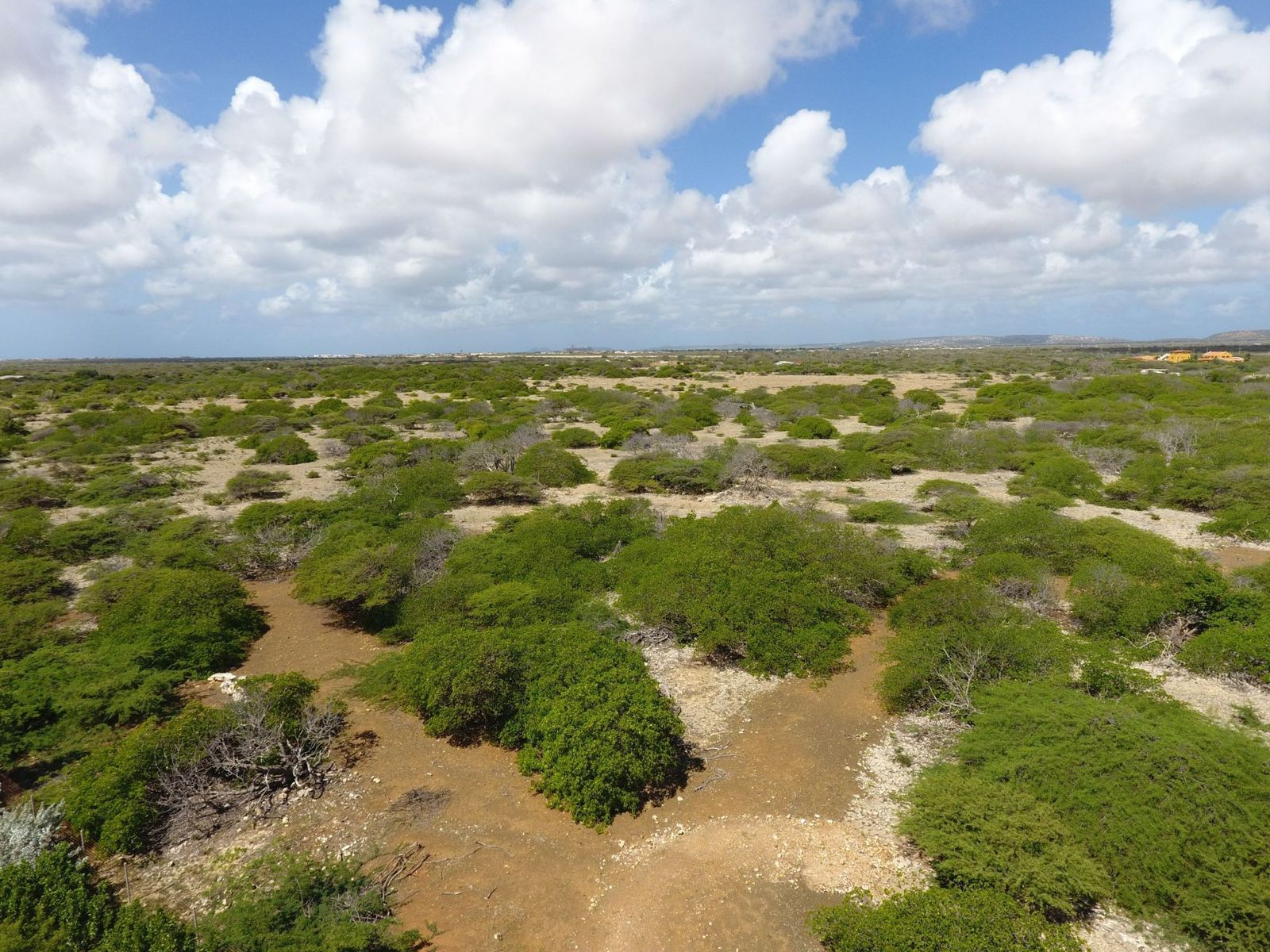 Lot in Troca Suelto — property image 3