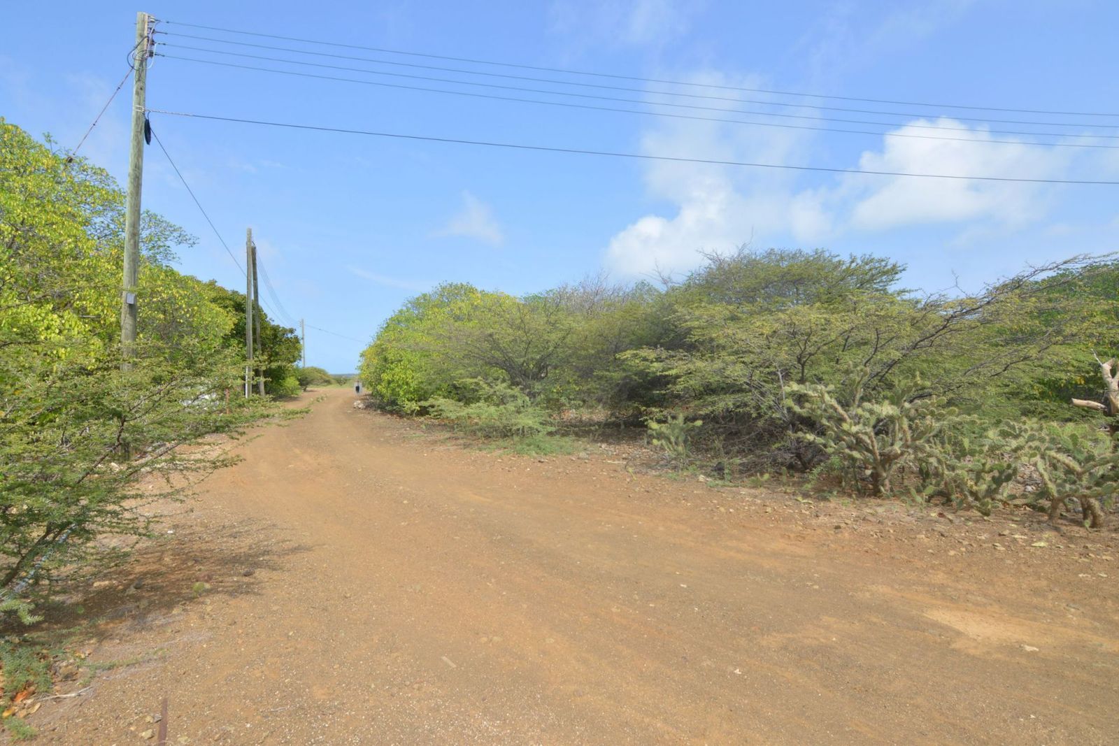 Lot in Troca Suelto — property image 4