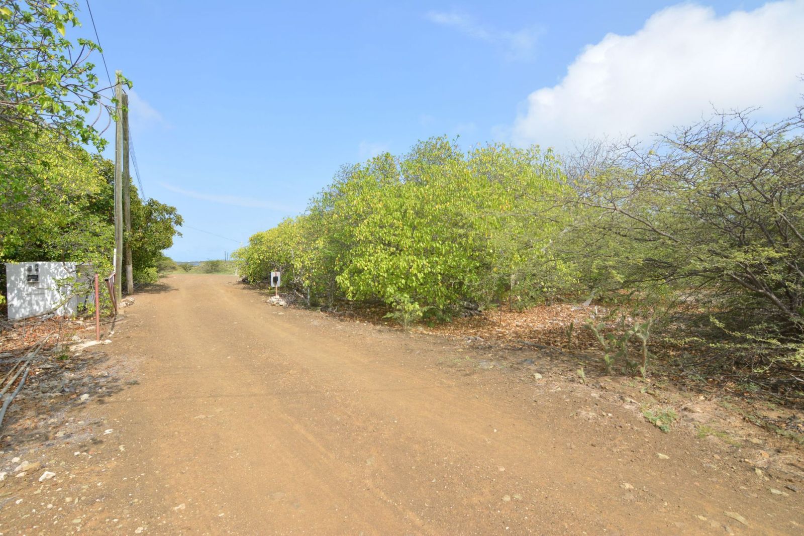 Lot in Troca Suelto — property image 5