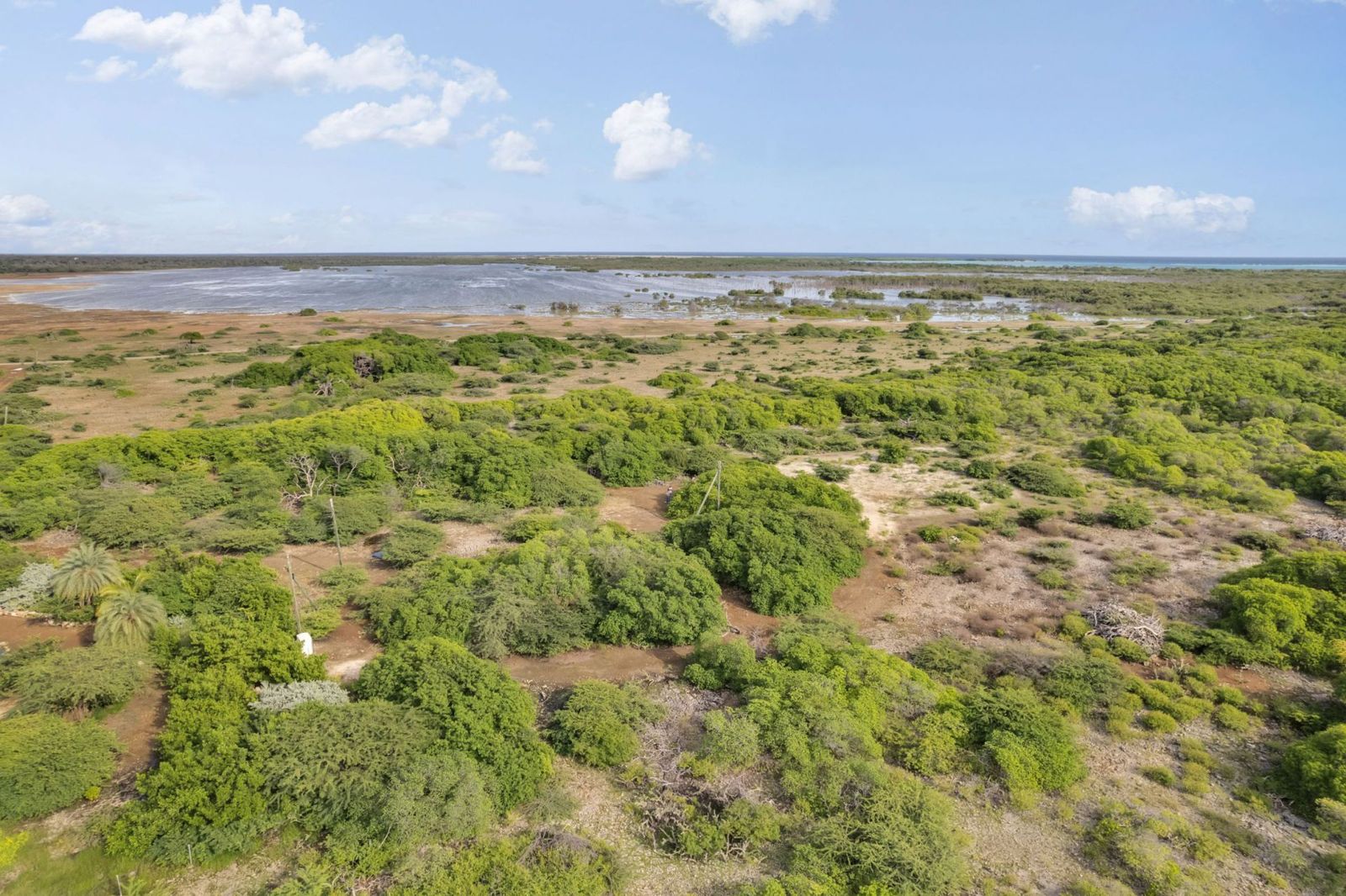 Troca Suelto Bonaire