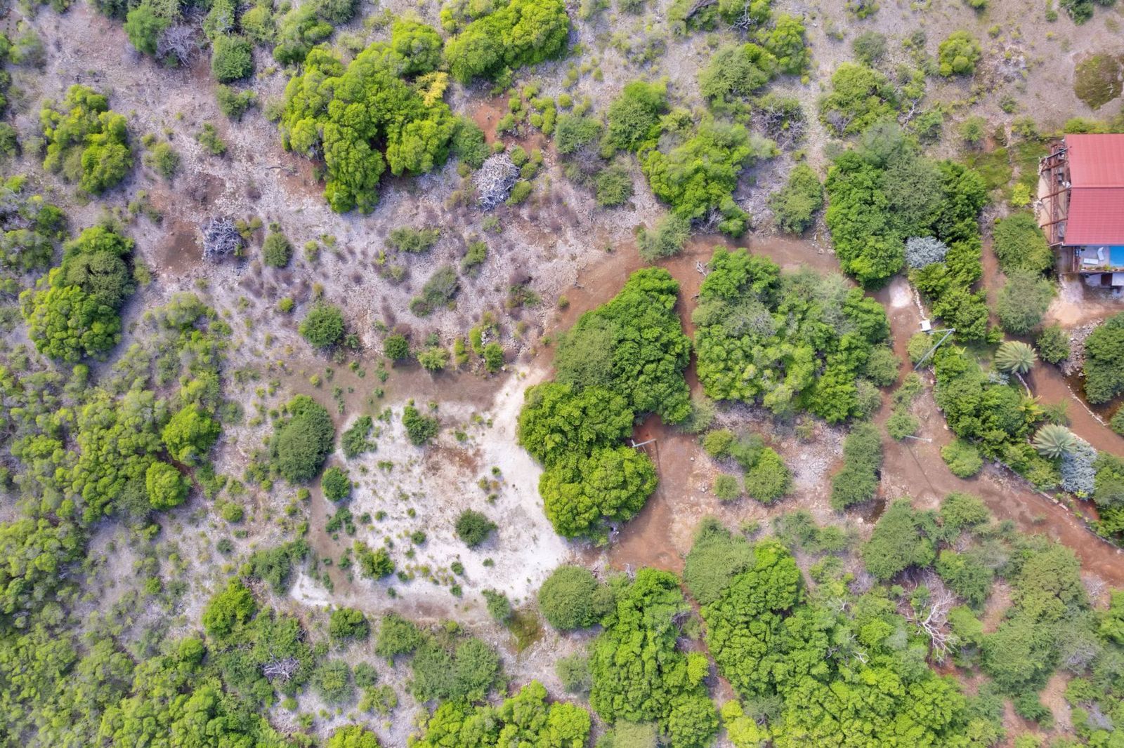 Lot in Troca Suelto — property image 4