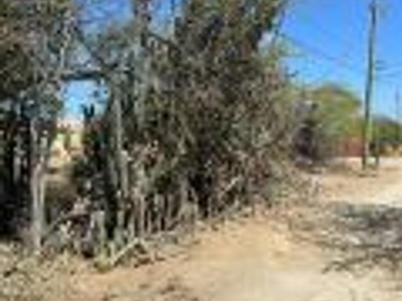 Kaya Oneida – Property in Bonaire