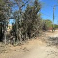 Property in Bonaire — exterior photo 1